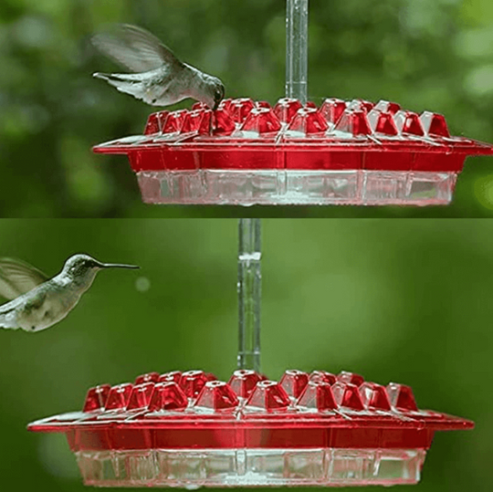 Hummingbird Feeder - With Ant Deterrent and 30 Openings