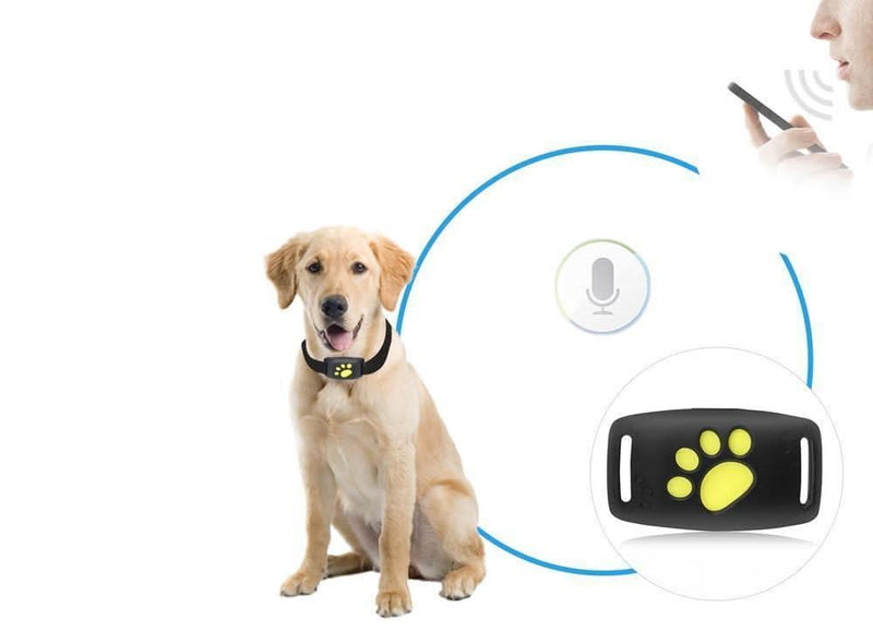 Katzen GPS-Tracker Halsband | Echtzeit-Ortungsgerät mit App