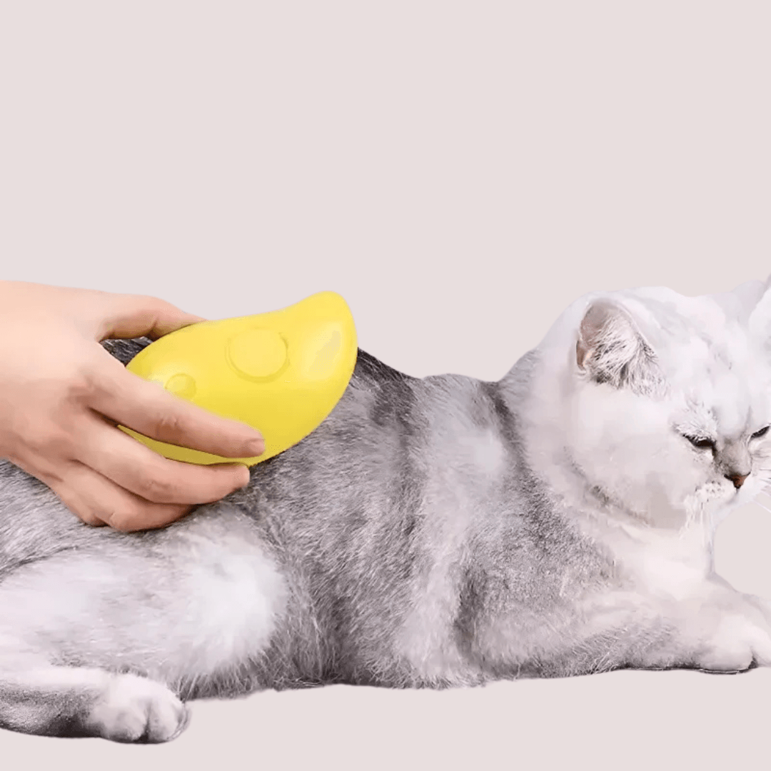 Electric Cat Brush with Water Sprayer