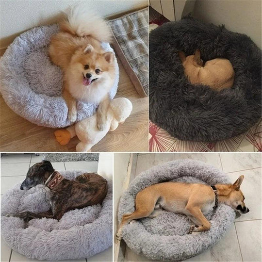 Plüsch-Donut-Hundebett