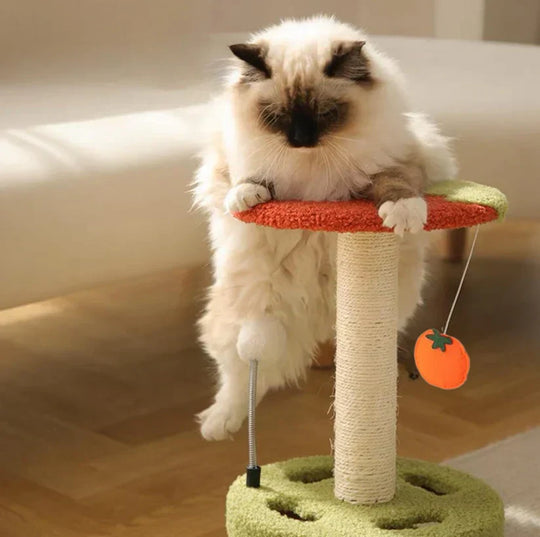 Scratch &amp; Play Tower – Compact Scratching Fun for Every Cat