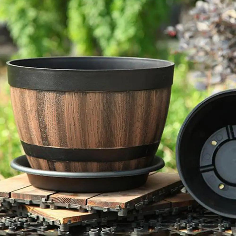 Vaso per Succulente