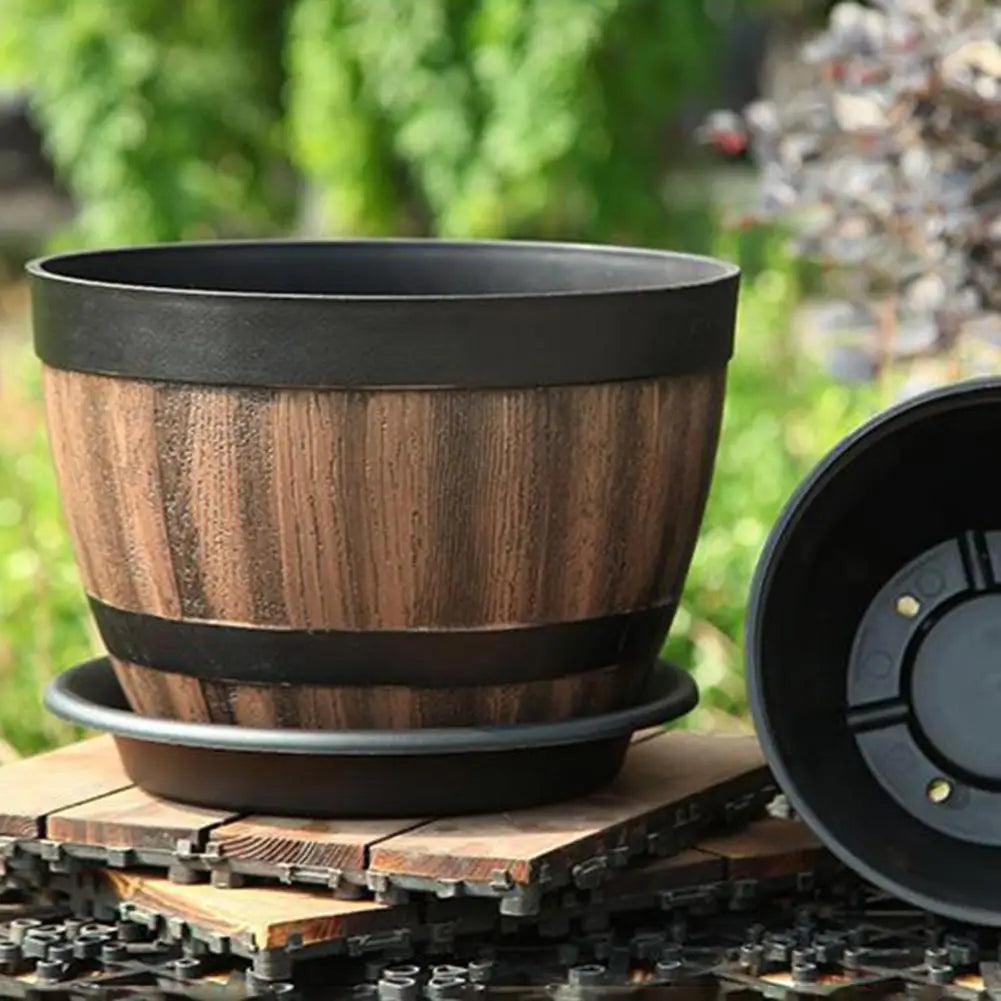 Vaso per Succulente