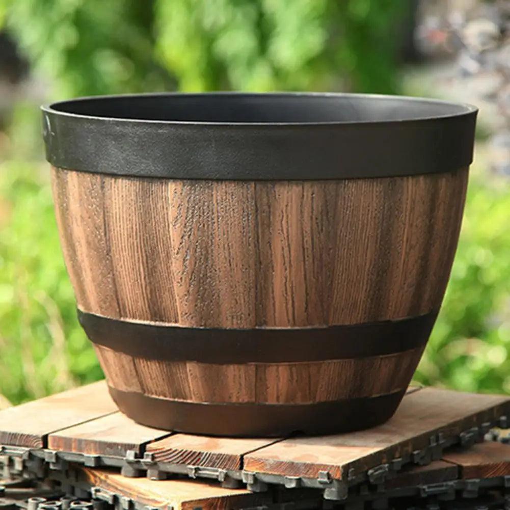 Vaso per Succulente