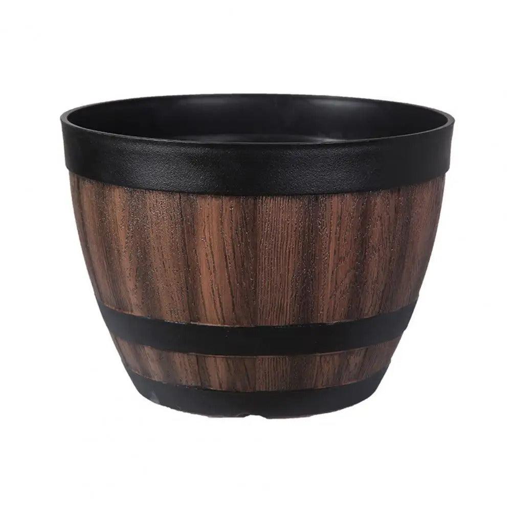 Vaso per Succulente