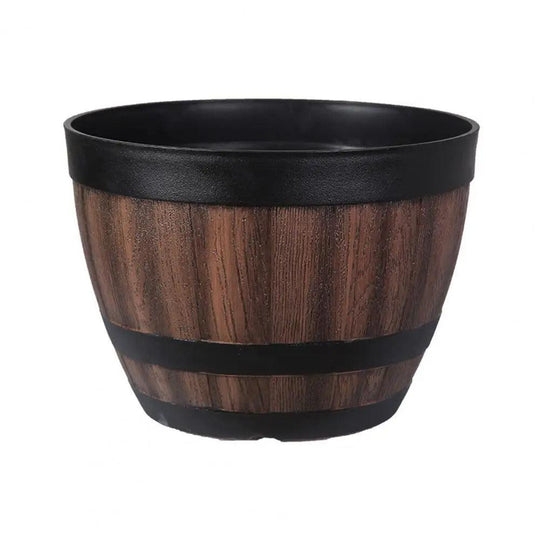 Vaso per Succulente