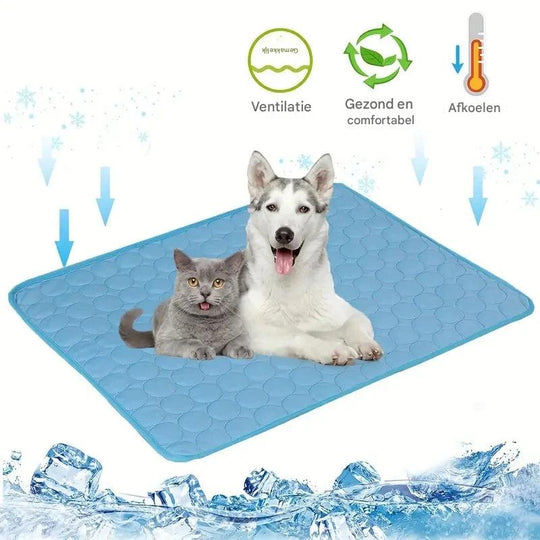 Koelmat Huisdieren – Verkoelende Mat voor Hond &amp; Kat